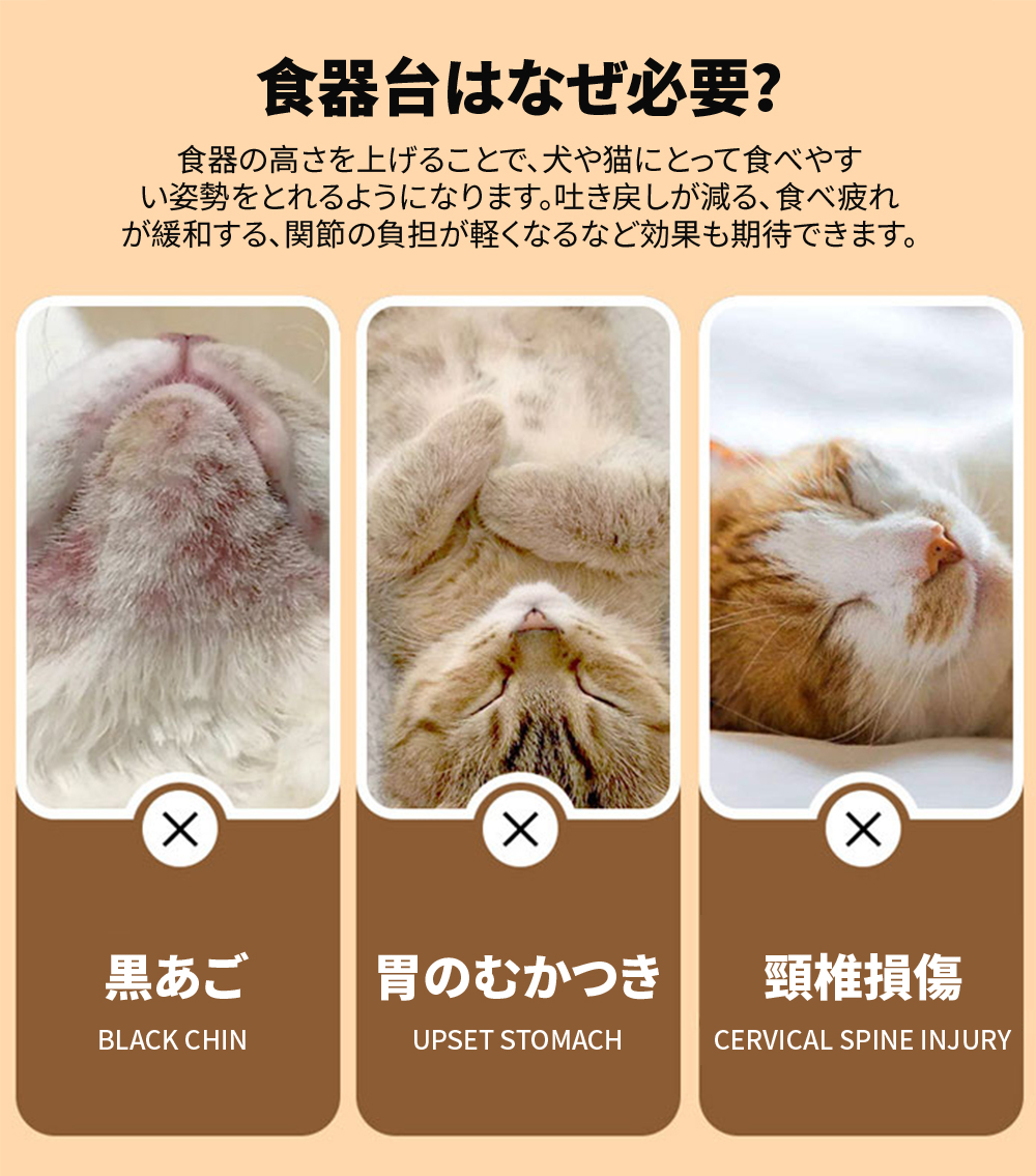 ネコボウル 猫食器 猫 フードボウル 高さがある 台猫用 エサ皿 3